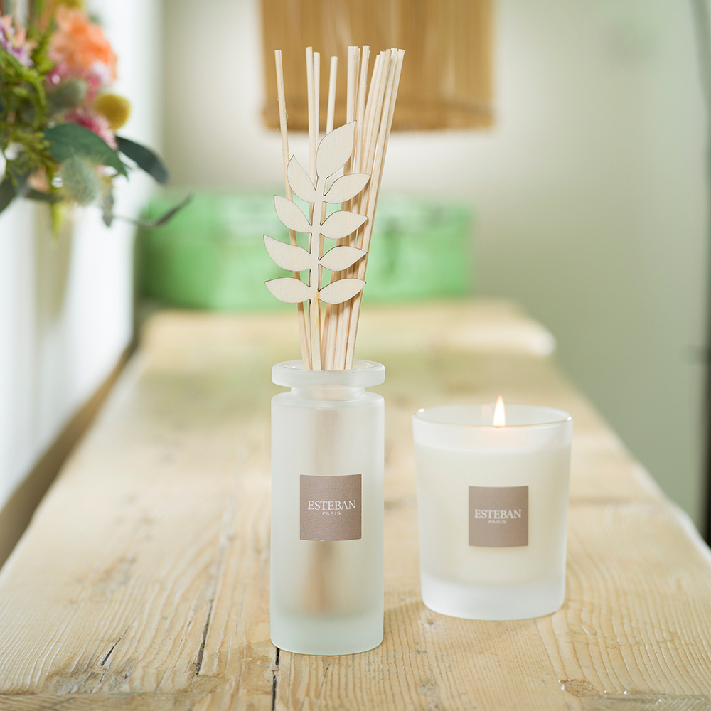 Bouquet parfumé Pêche de vigne - 100 ml