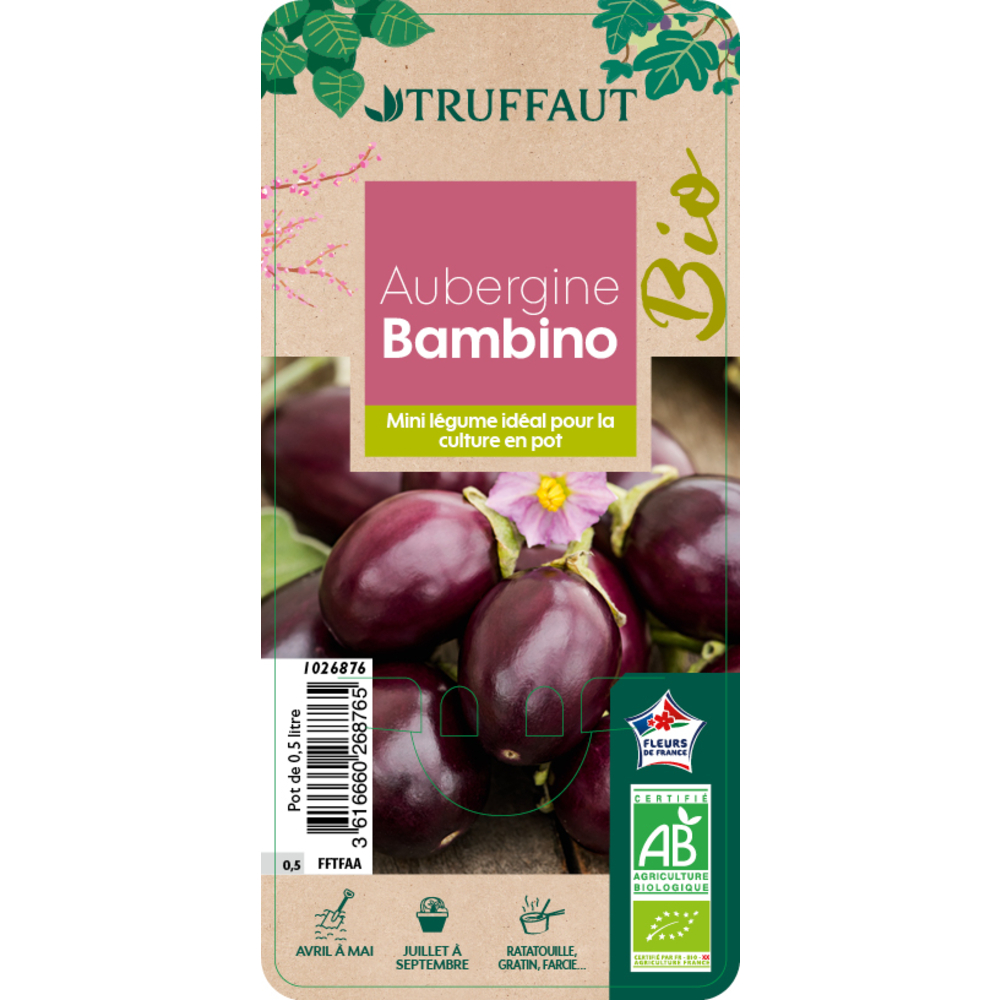 Plant d'Aubergine 'Bambino' AB Pot 0,50L