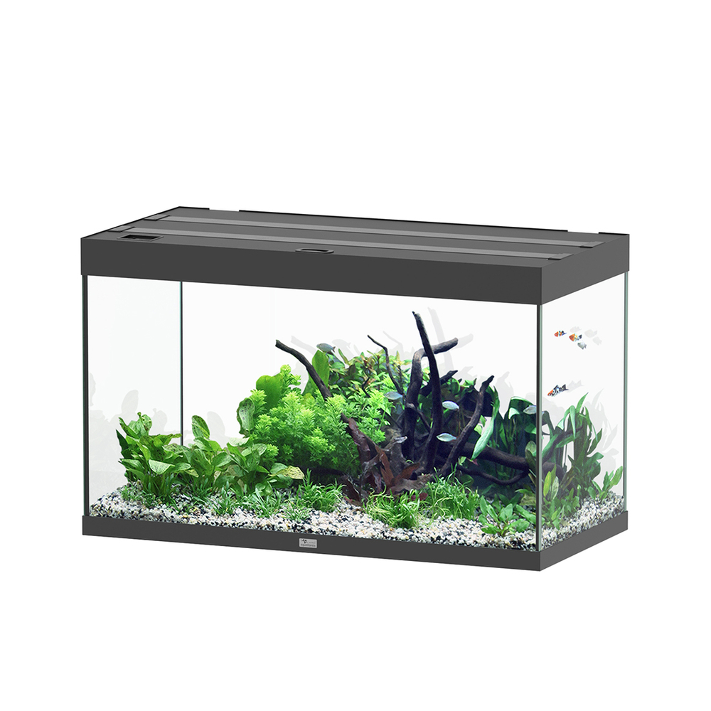 AQUARIUM SUBLIME 100 NOIR-(1027342)