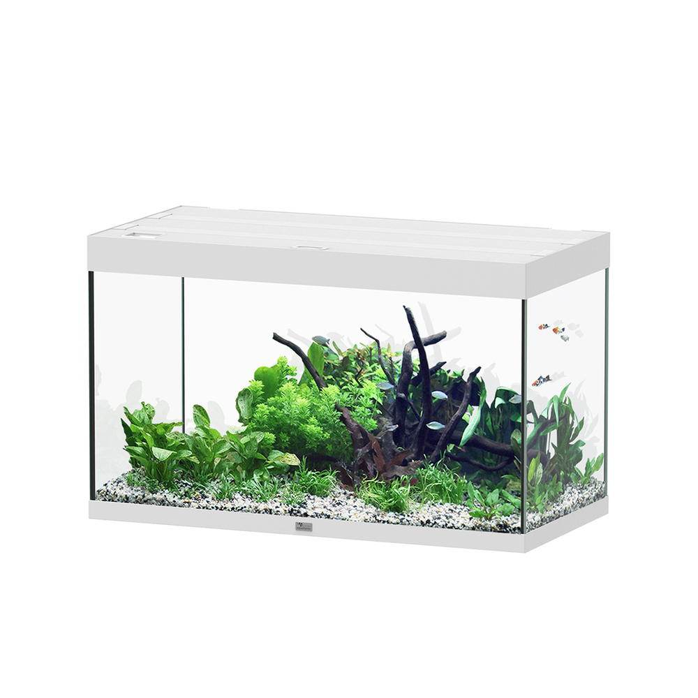 AQUARIUM SUBLIME 100 BLANC-(1027343)