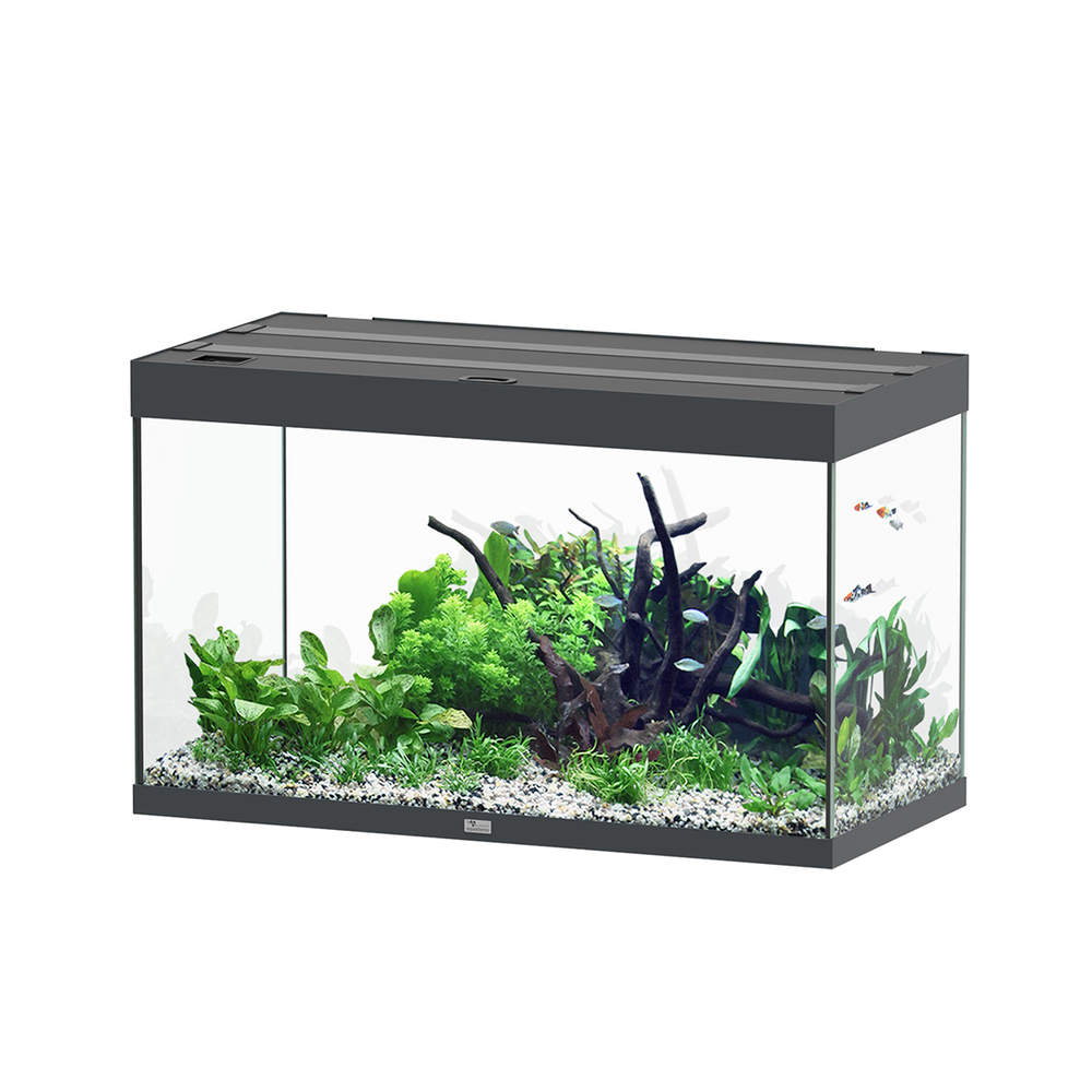 AQUARIUM SUBLIME 100 GRIS-(1027344)