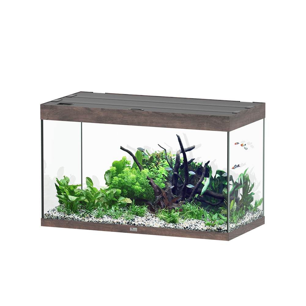 AQUA SUBLIME 100 CHENE BRUN-(1027347)