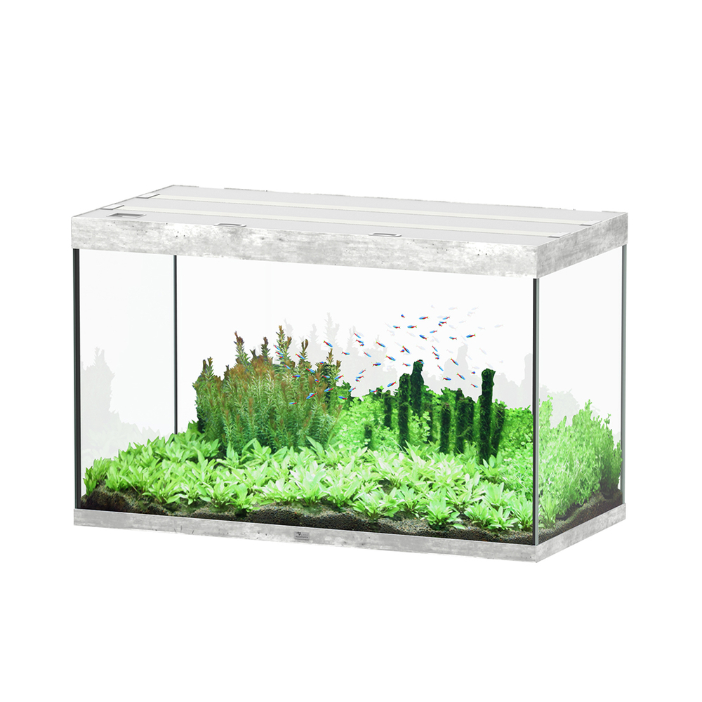 AQUA SUBL 120x60x75 BTN LDD-(1027386)