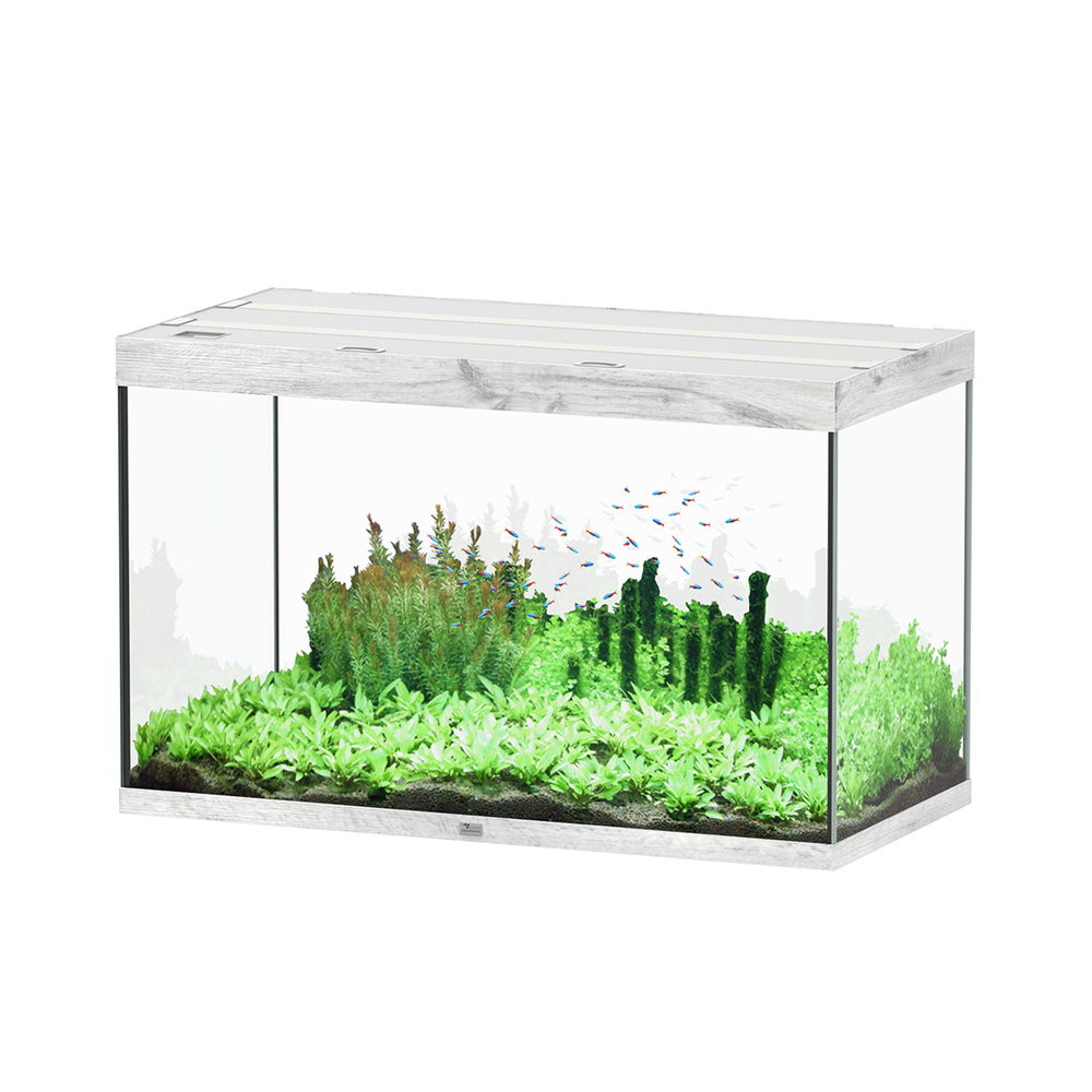 AQUA SUBL 120x60x75 CBC LDD-(1027387)