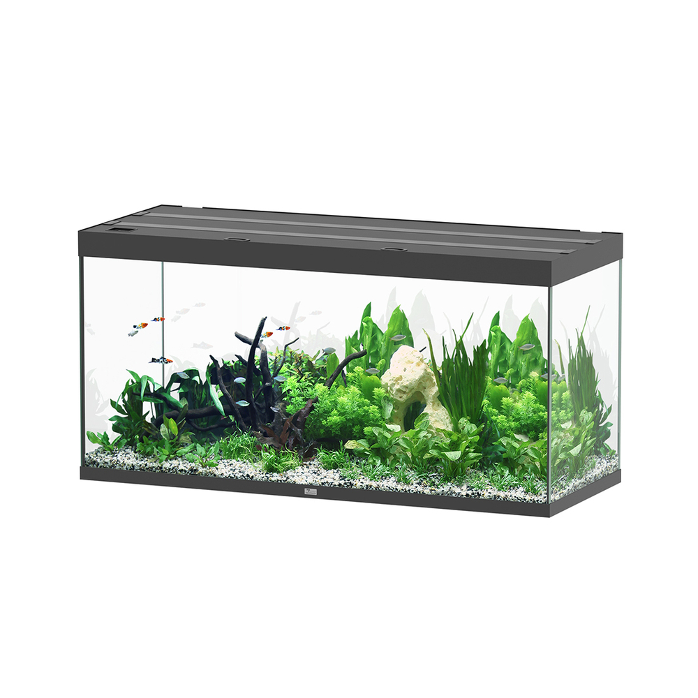 AQUA SUBL 150x60x75 NR LDD-(1027419)