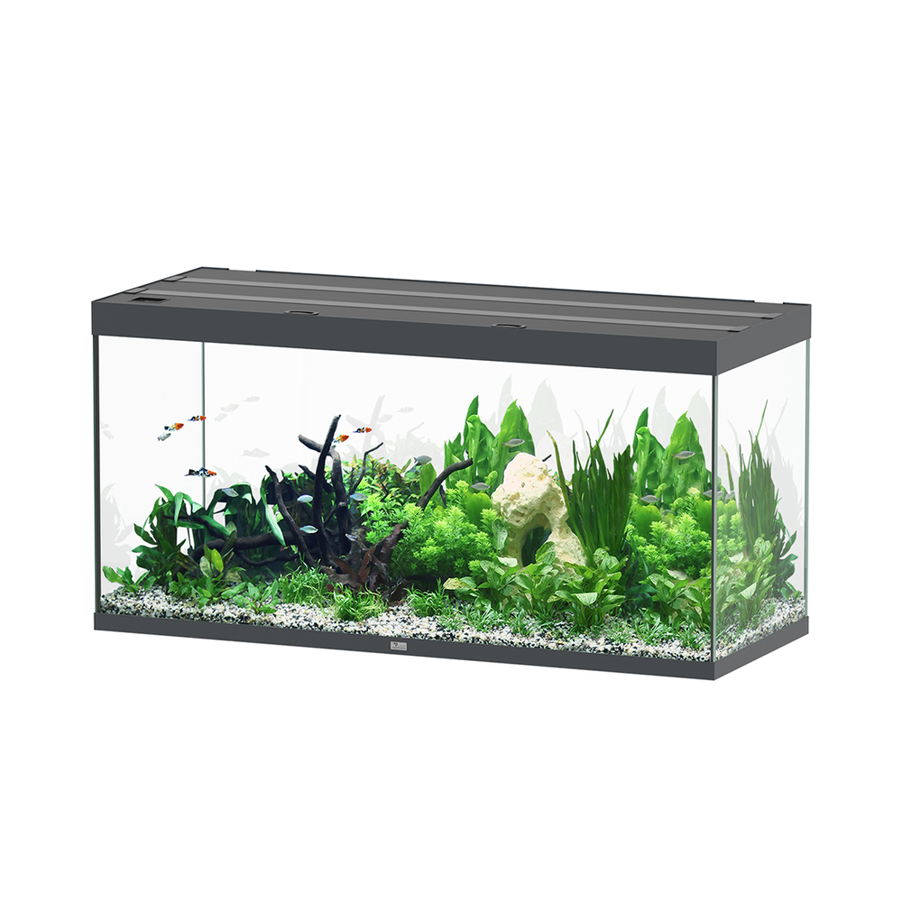 AQUA SUBL 150x60x75 GRIS LDD-(1027421)