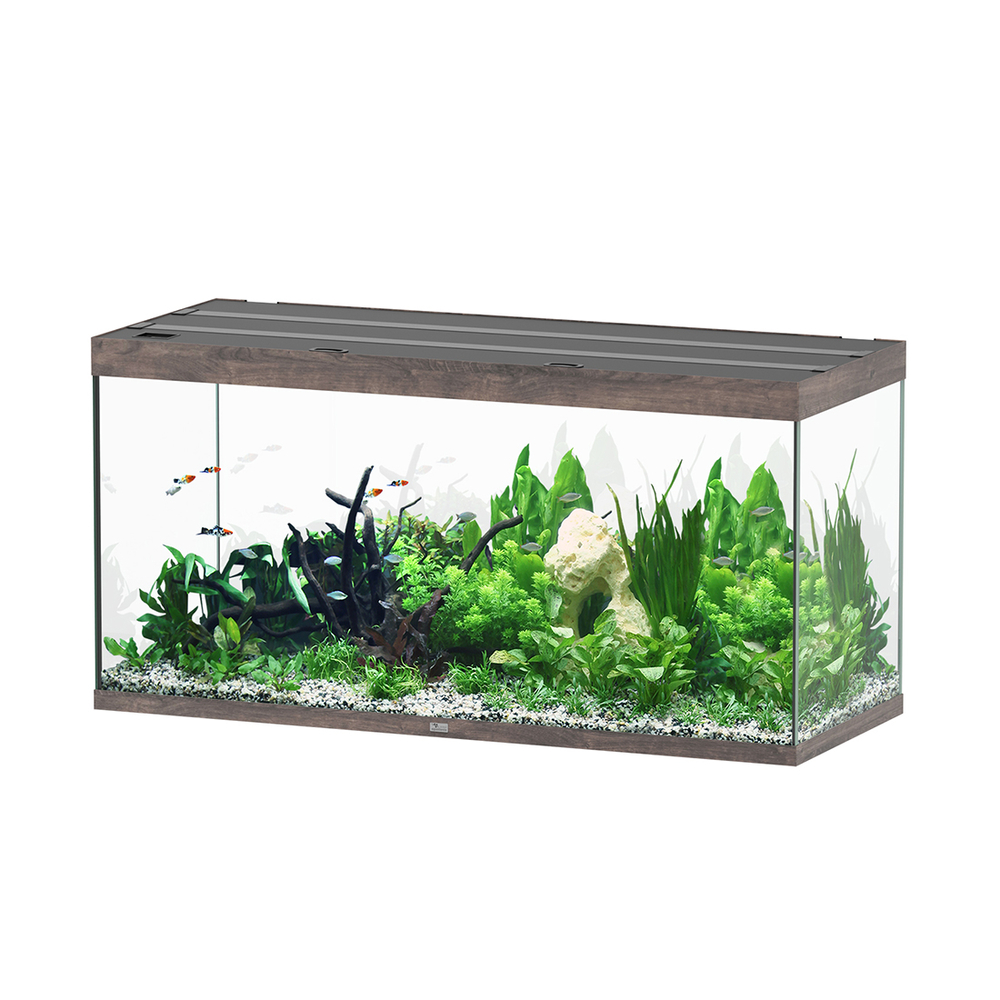 AQUA SUBL 150x60x75 CBN LDD-(1027424)