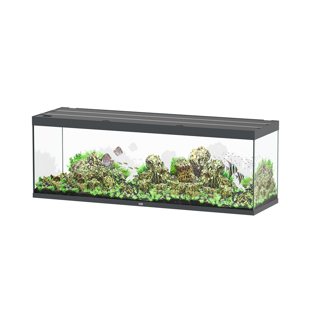 AQUA SUBL 200x60x75 GRIS LDD-(1027439)