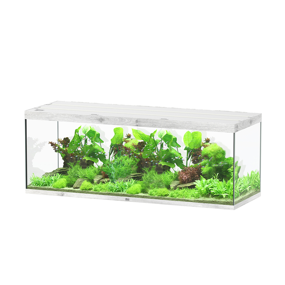 AQUA SUBL 200x70x75 CBC LDD-(1027459)