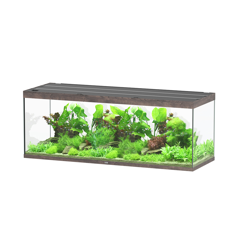 AQUA SUBL 200x70x75 CBN LDD-(1027460)