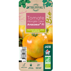 Plants de tomates 'Anacoeur' bio : barquette 3 plants