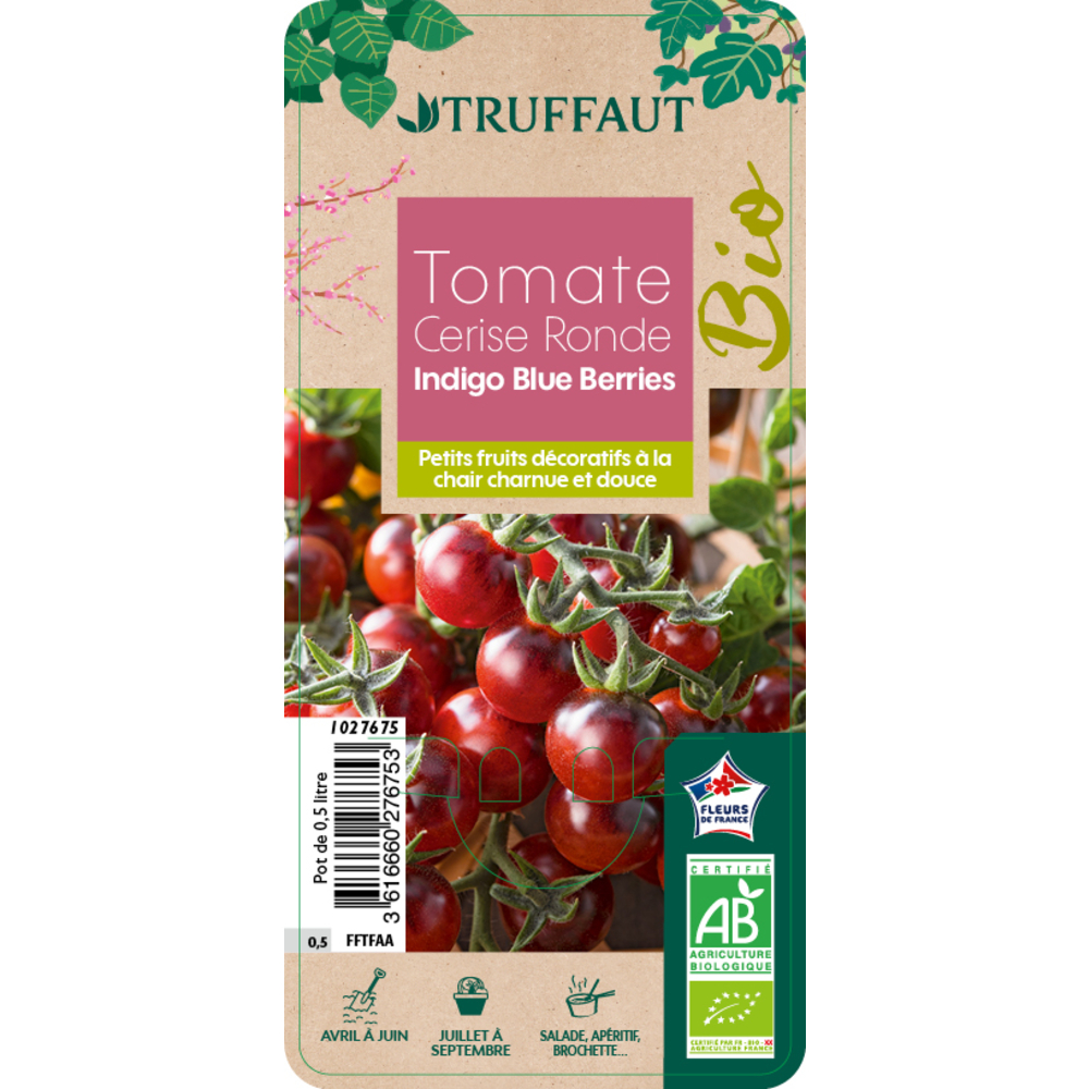Tomate cerise 'Blue Berries' AB Pot 0,50L