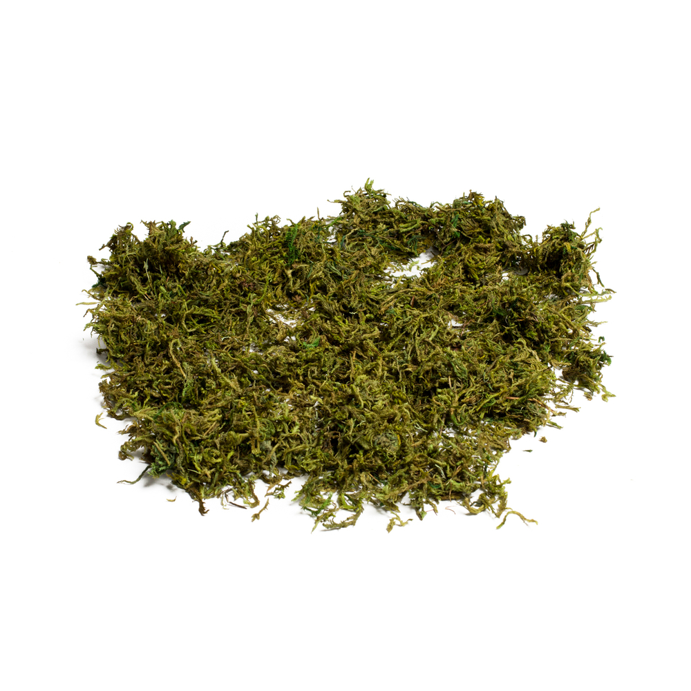 Mousse naturelle semi-sèche - 50g