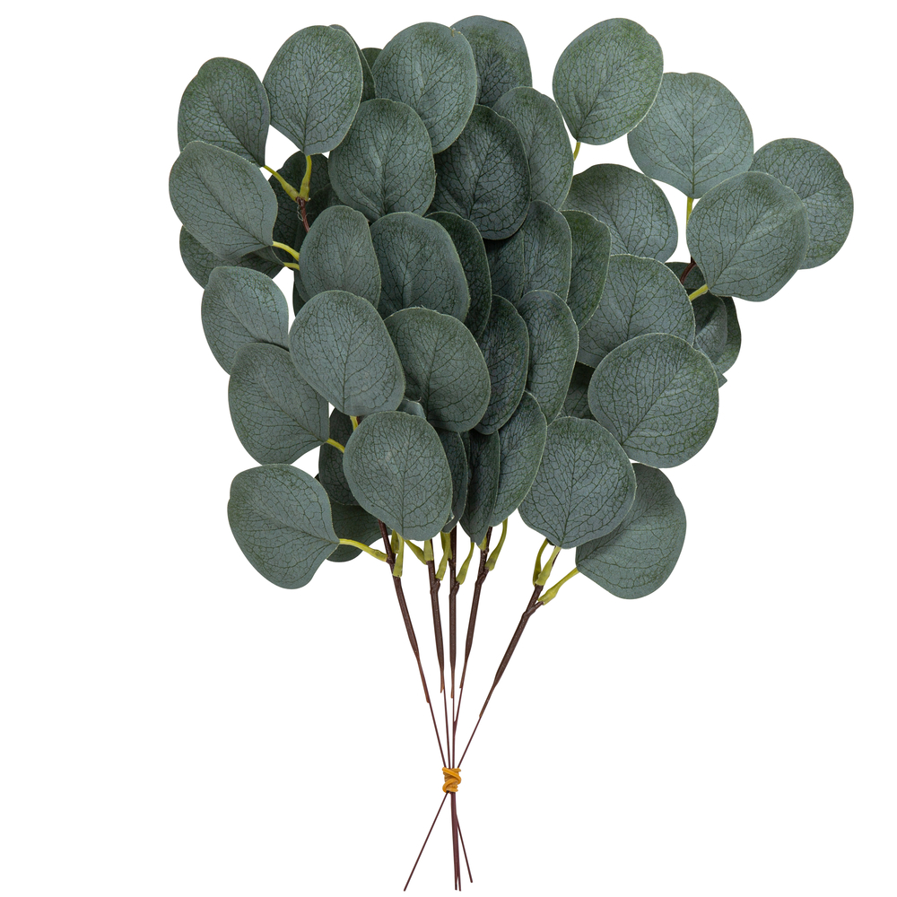 5 branches de feuilles d'eucalyptus vertes - 35cm