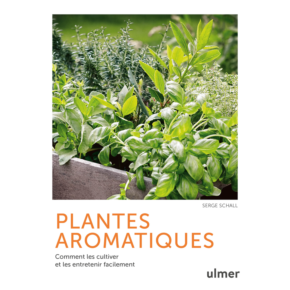 PLANTES AROMATIQUES-(1029198)