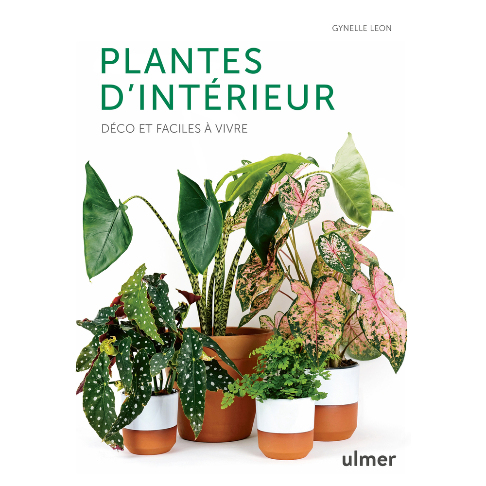 PLANTES D INTERIEUR DECO-(1029202)