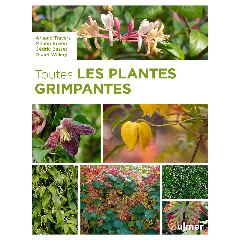 TOUTES LES PLANTES GRIMPANTES-(1029204)