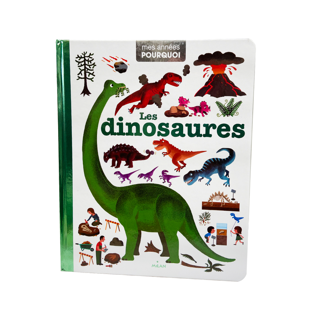 ANNEES PQ DINOSAURES-(1029892)