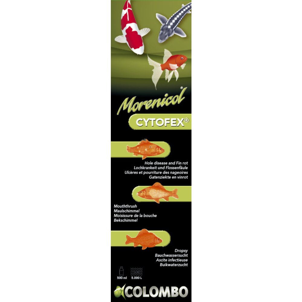 Traitement contre les infections bactériennes Cytofex 250ml /2500L