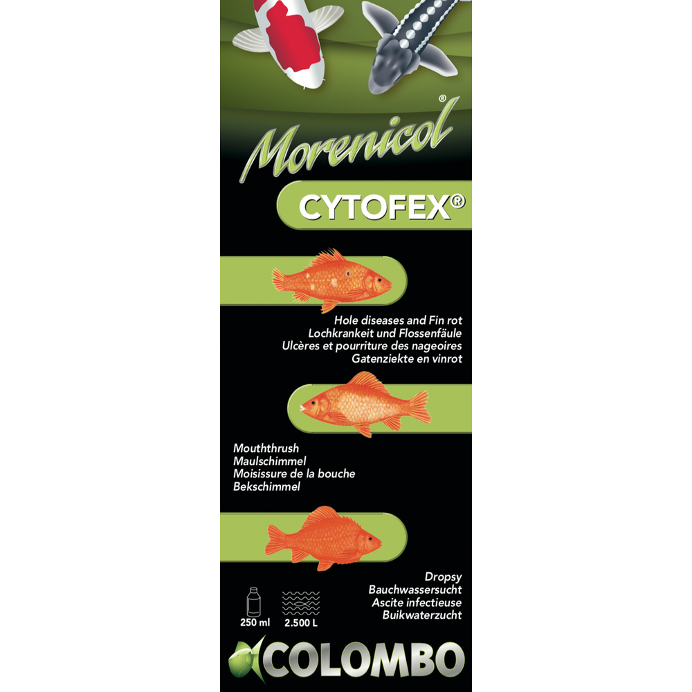 Traitement contre les infections bactériennes Cytofex 500ml / 5.000 L