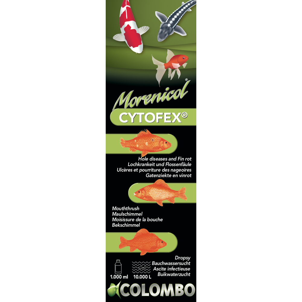 Traitement contre les infections bactériennes Cytofex 1L /10,000L