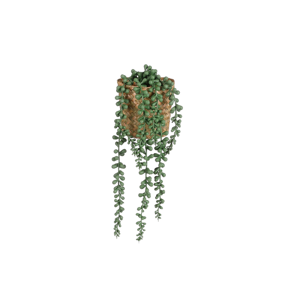 Plante artificielle : Senecio à suspendre en pot - H.32xD.10cm