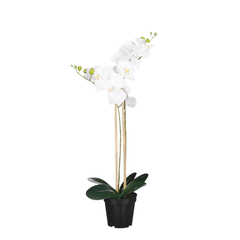 Plante artificielle : Phalaenopsis en pot blanc - H.70xD.38cm