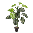 Plante artificielle : Caladium en pot vert - H.100xD.50cm