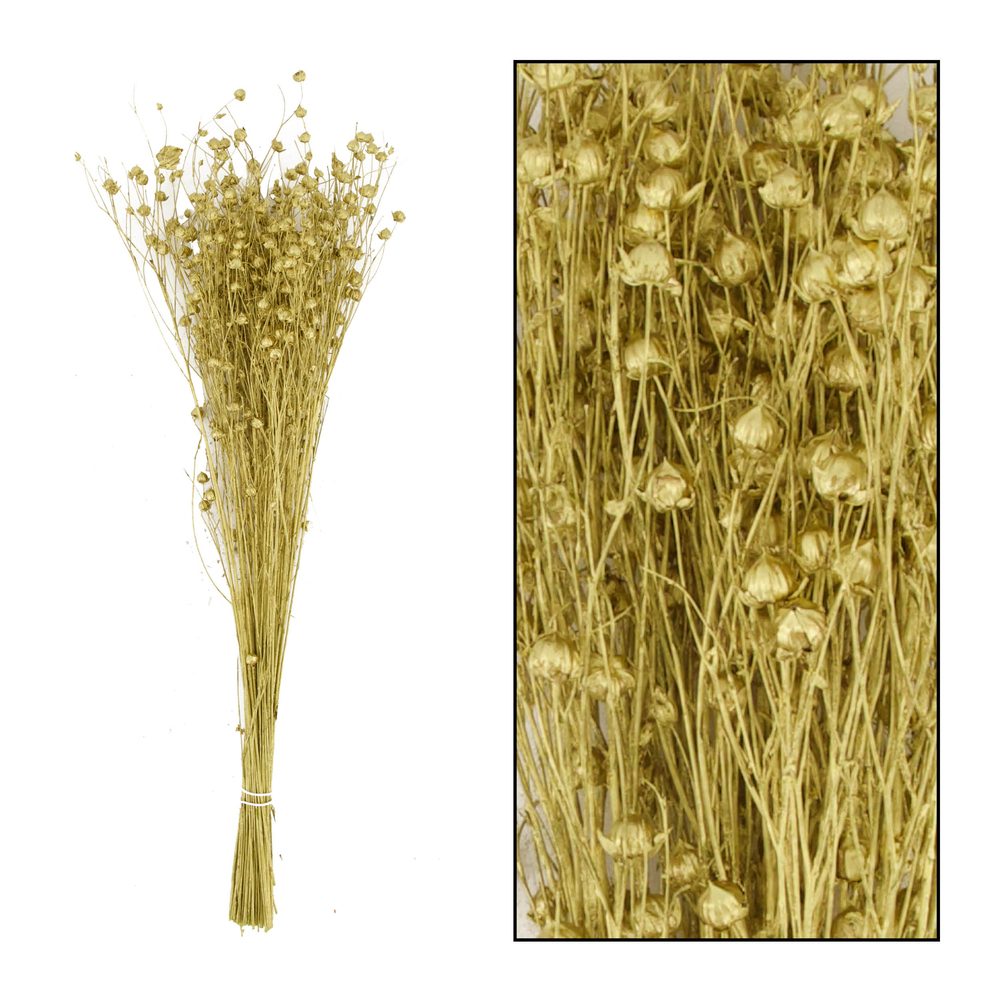 Bouquet séché de Lin or 55.5x26x7.5 cm