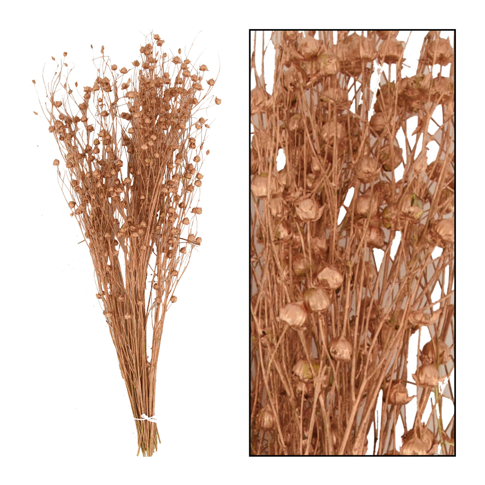 Bouquet séché de Lin cuivre 55.5x26x7.5 cm