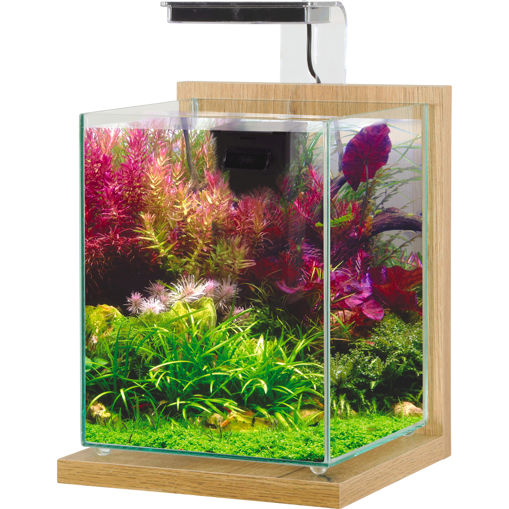 JALAYA 2 CHENE CLAIR-(1032914)