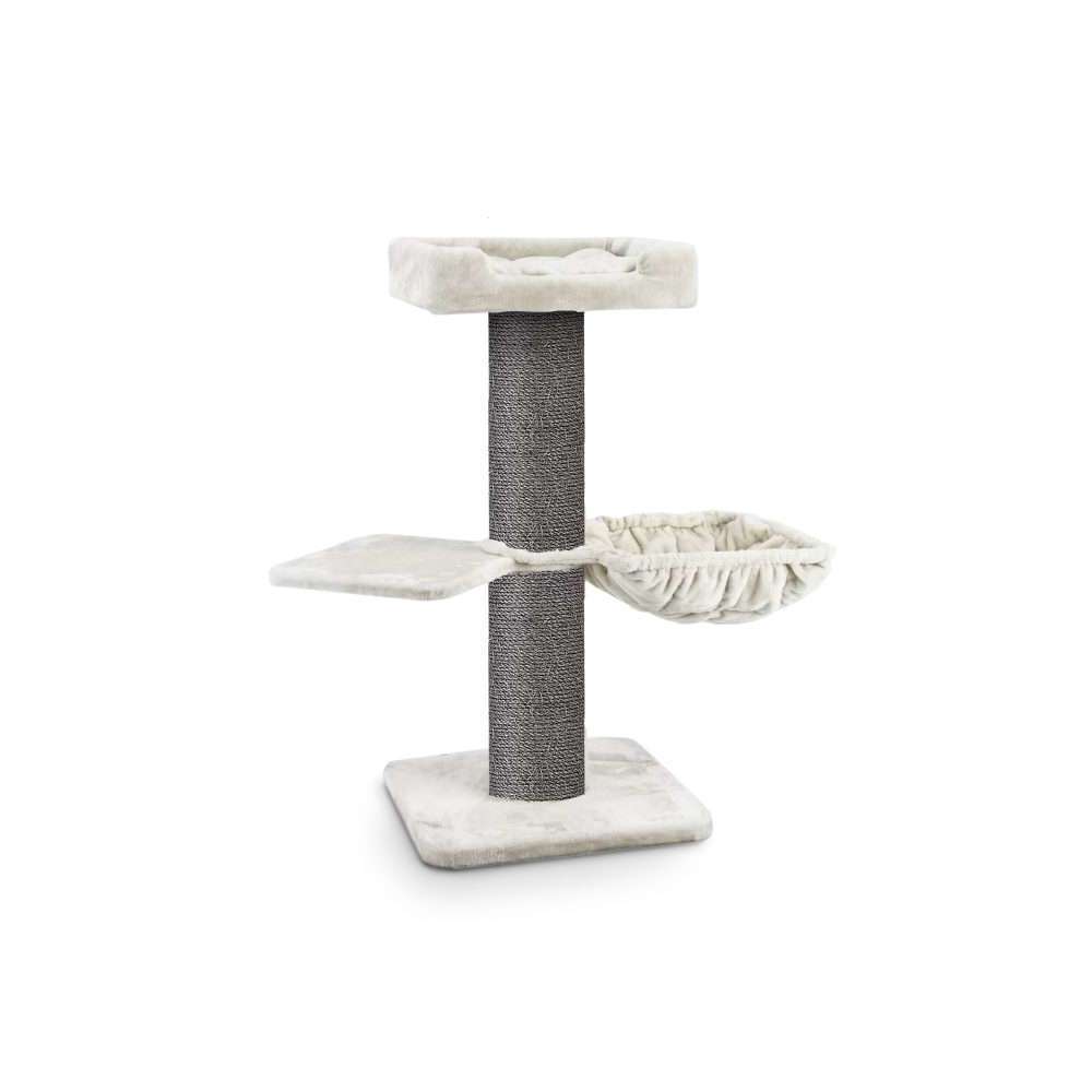 Tout Sur L Arbre A Chat Truffaut