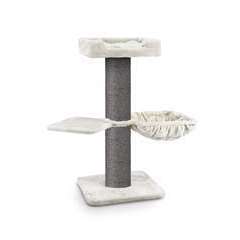 Tout Sur L Arbre A Chat Truffaut Tout Sur L Arbre A Chat Truffaut