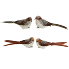 Oiseaux bruns en mousse à clipser H 5.50cm - Vendus par 2