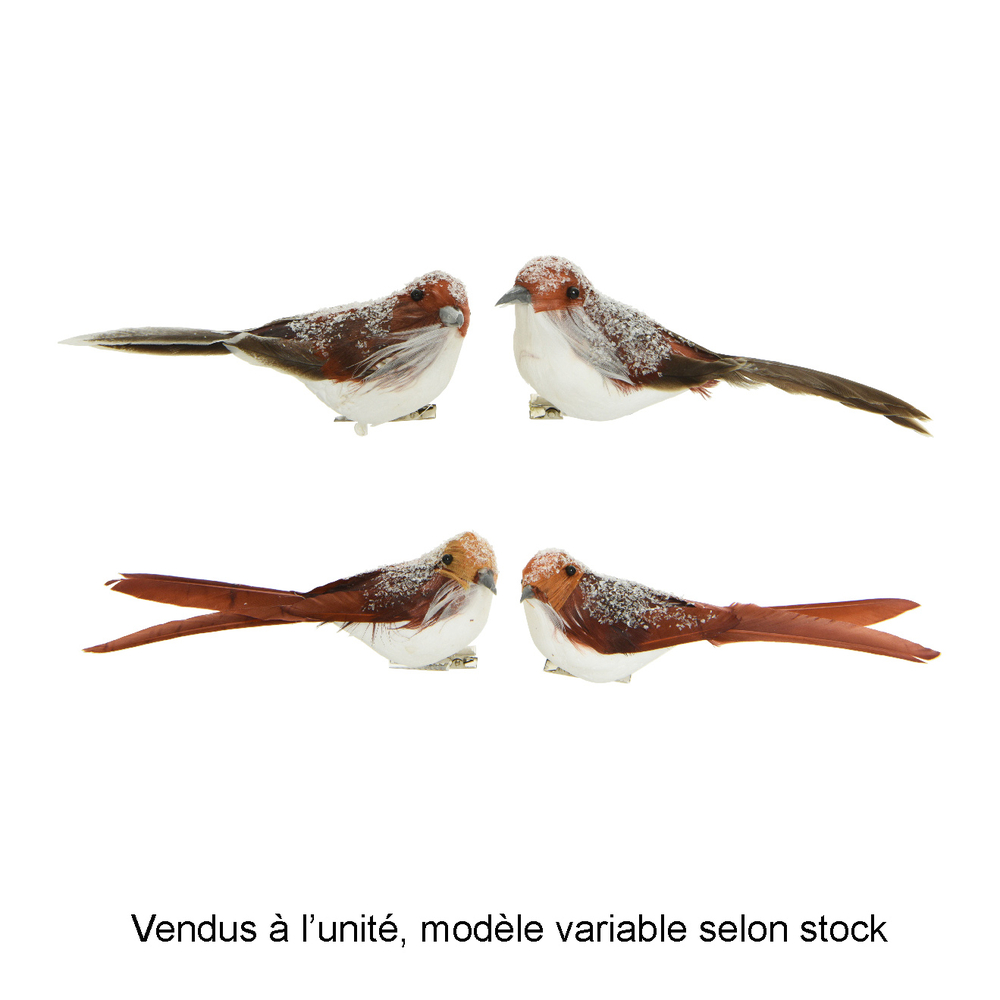 Oiseaux bruns en mousse à clipser H.5.50cm - Vendus par 2