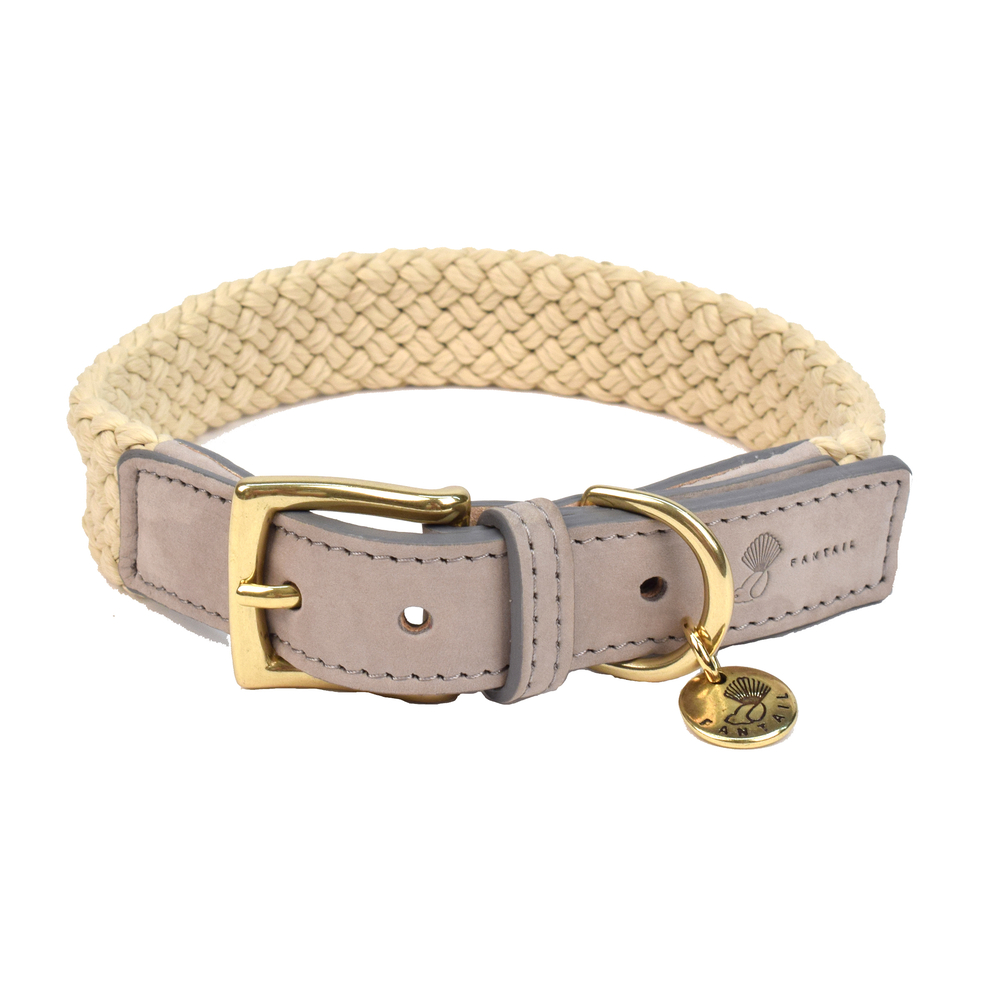 Collier pour chien gris 40x2.5cm S