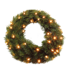 Couronne forest frosted 48 led D 45 cm