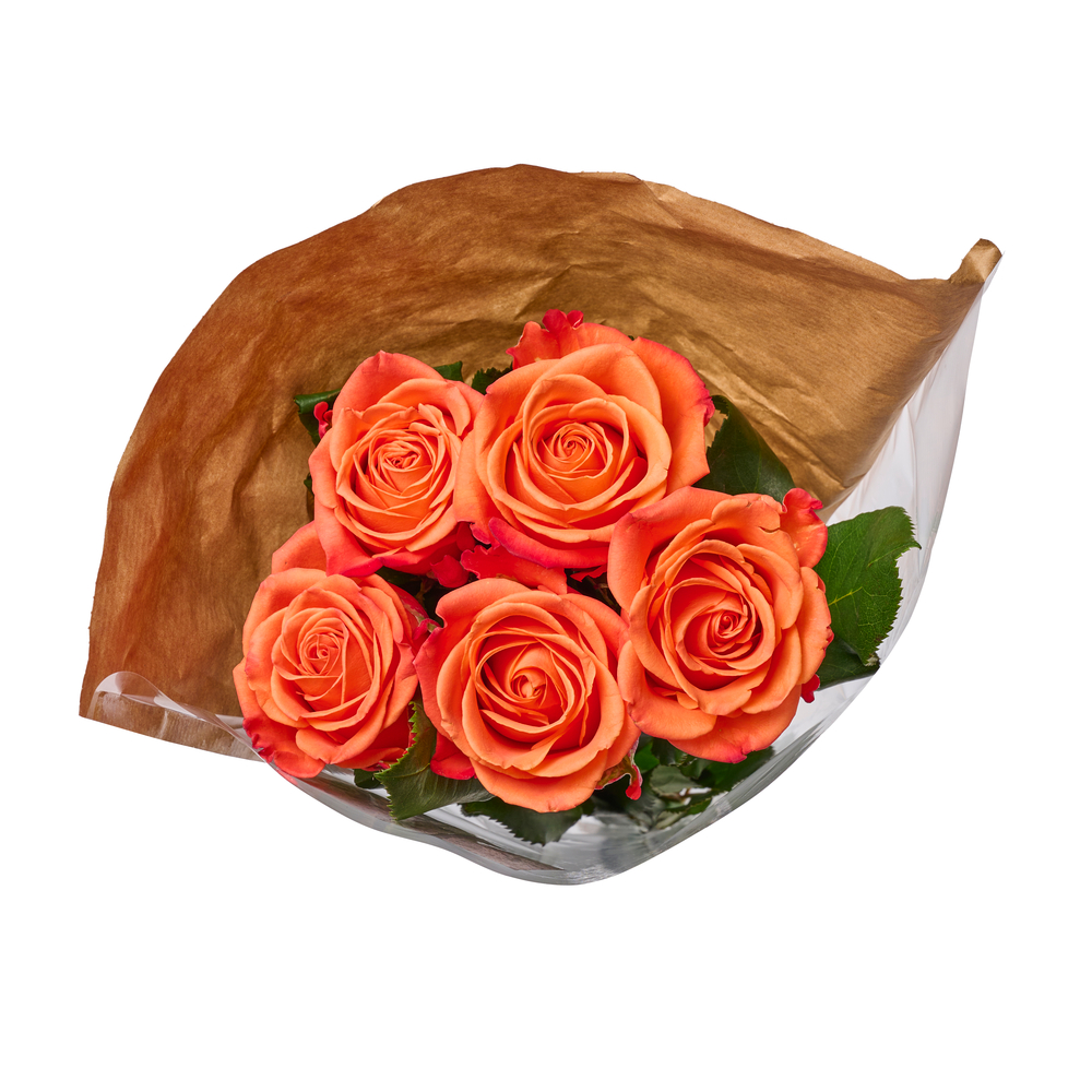 Botte de 5 roses Atomic oranges H.50cm