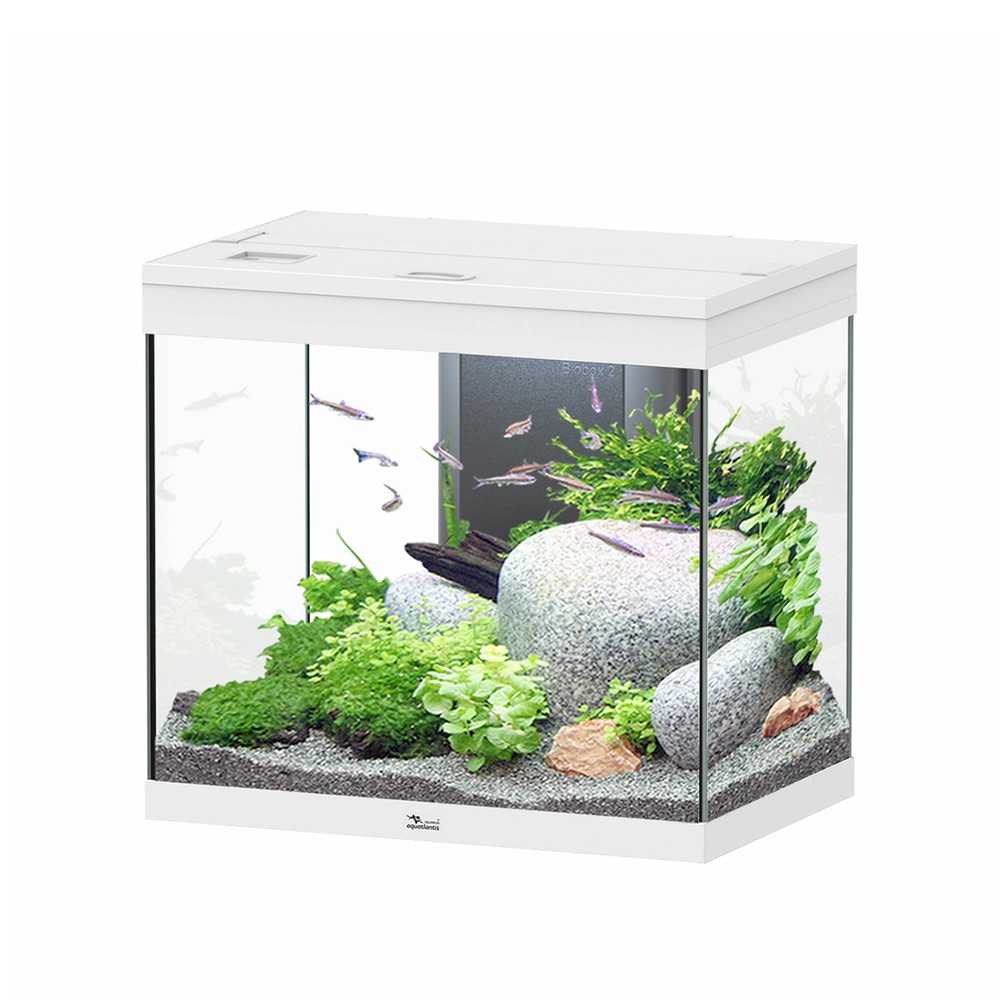 SPLENDID 60X40X56 BLC LED EQP-(1039150)