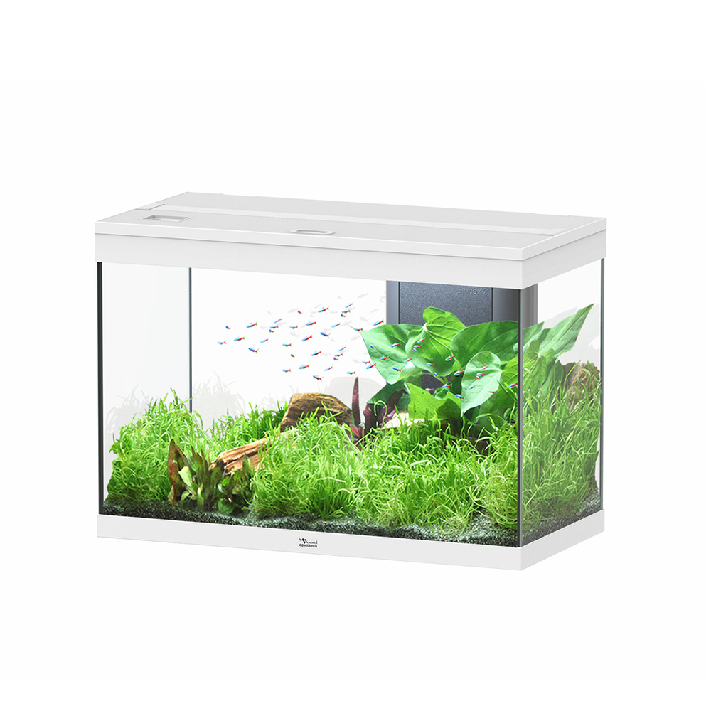 SPLENDID 80X40X56 BLC LED EQP-(1039154)