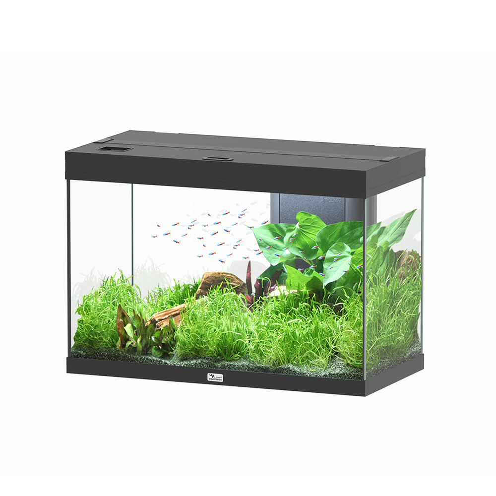 SPLENDID 80X40X56 NR LED EQP-(1039156)