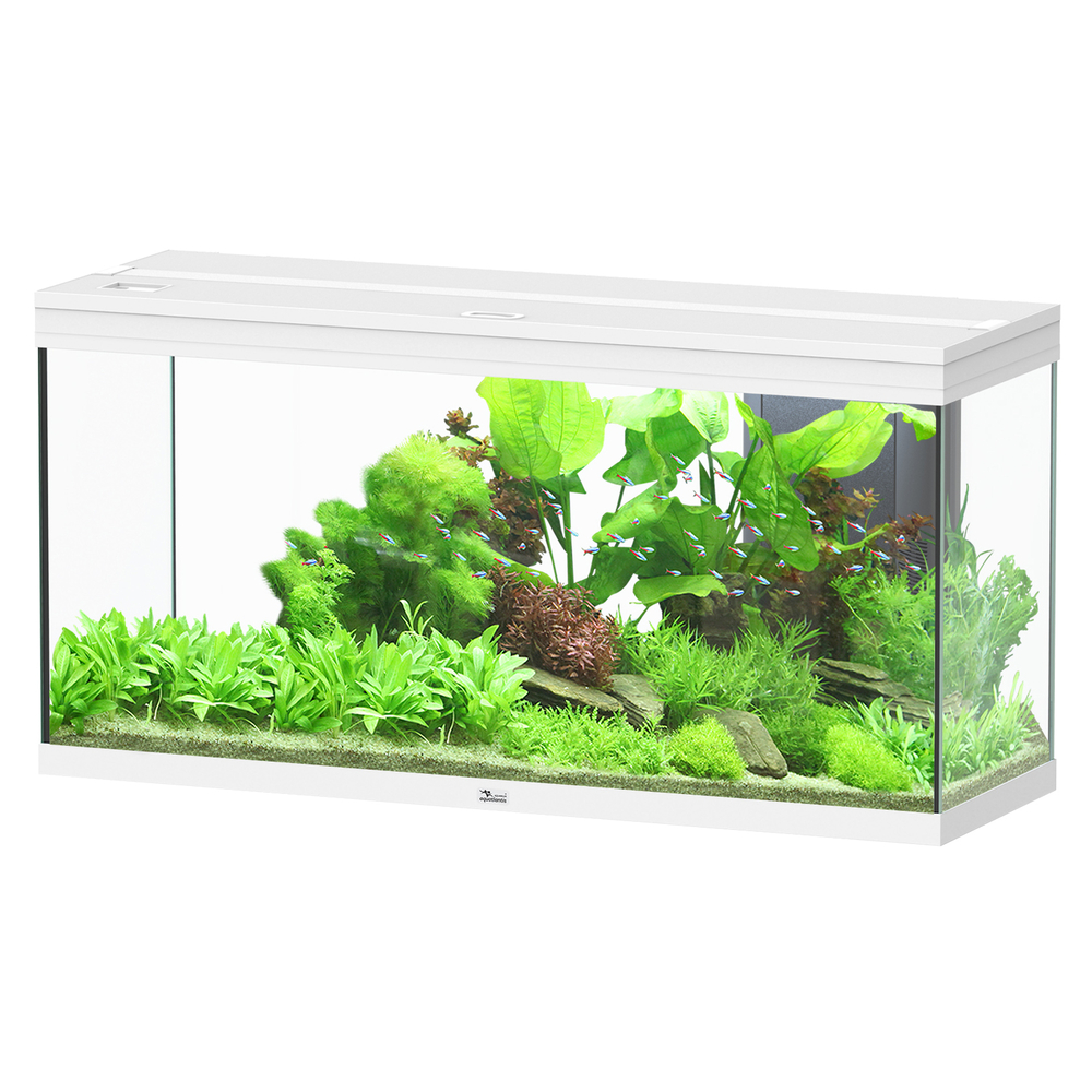 SPLENDID 120X40X61 BLC LED EQP-(1039166)