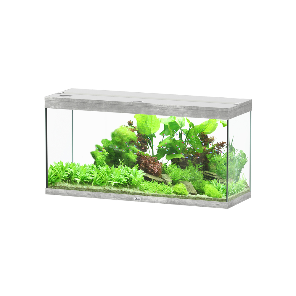 AQ SPLENDID 120X40 BETON LDD-(1039332)