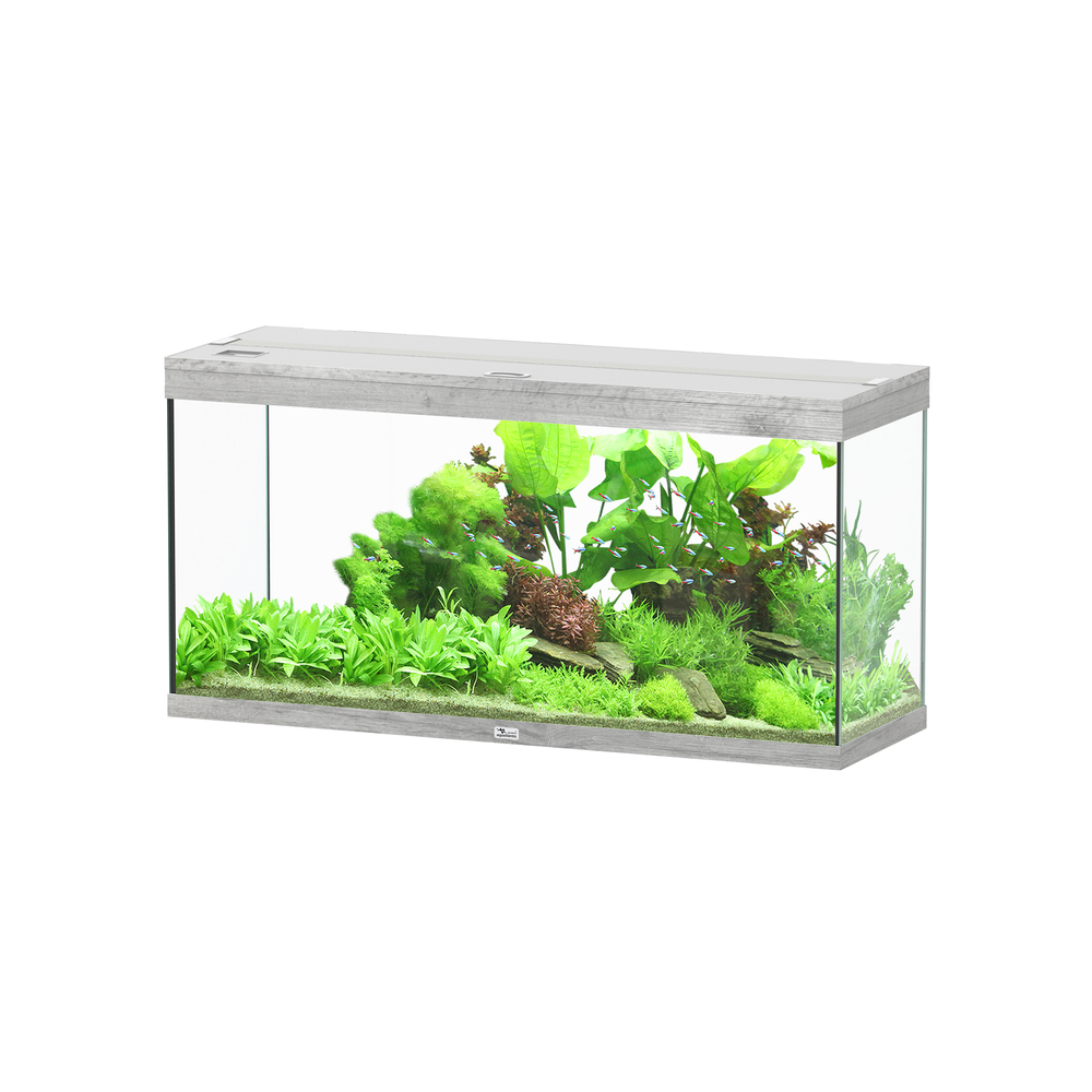 AQ SPLENDID 120X40 CH.BRUN LDD-(1039333)