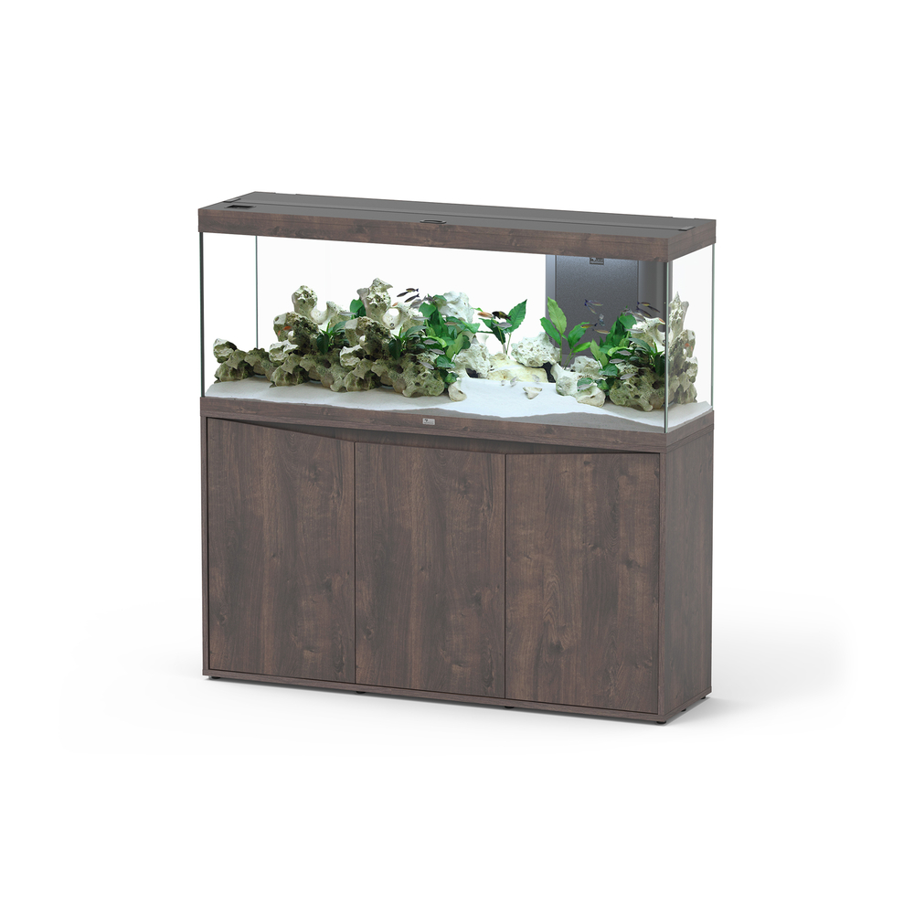 ENS SPLENDID P 150 CH BRUN LDD-(1039387)