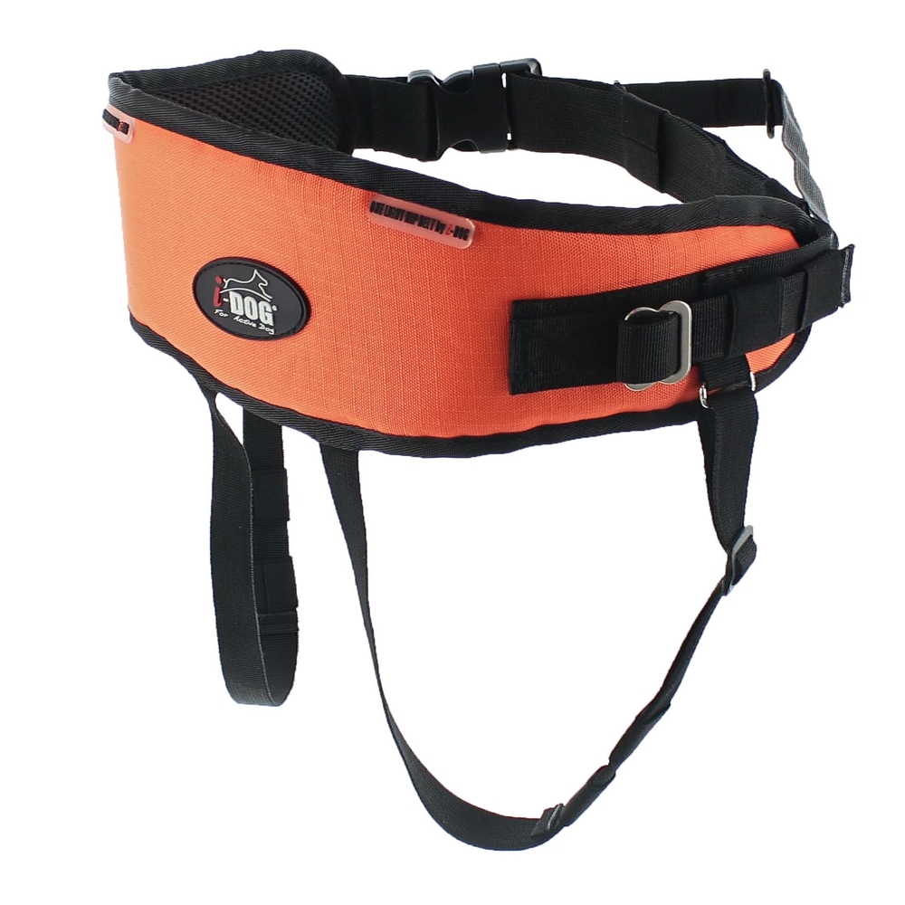 Baudrier canicross one light pour chien