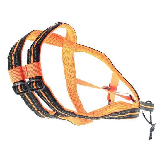 Harnais de Canicross gamme one pour chien taille 2 XS