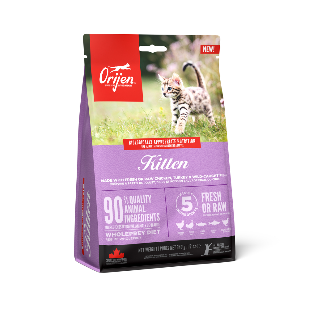 Croquettes Kitten spécial chaton 340G
