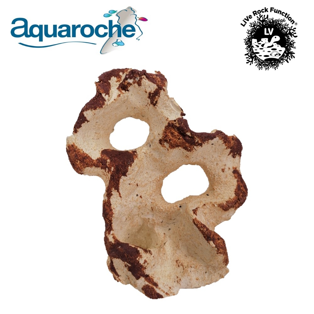 Roche double trou pour aquarium