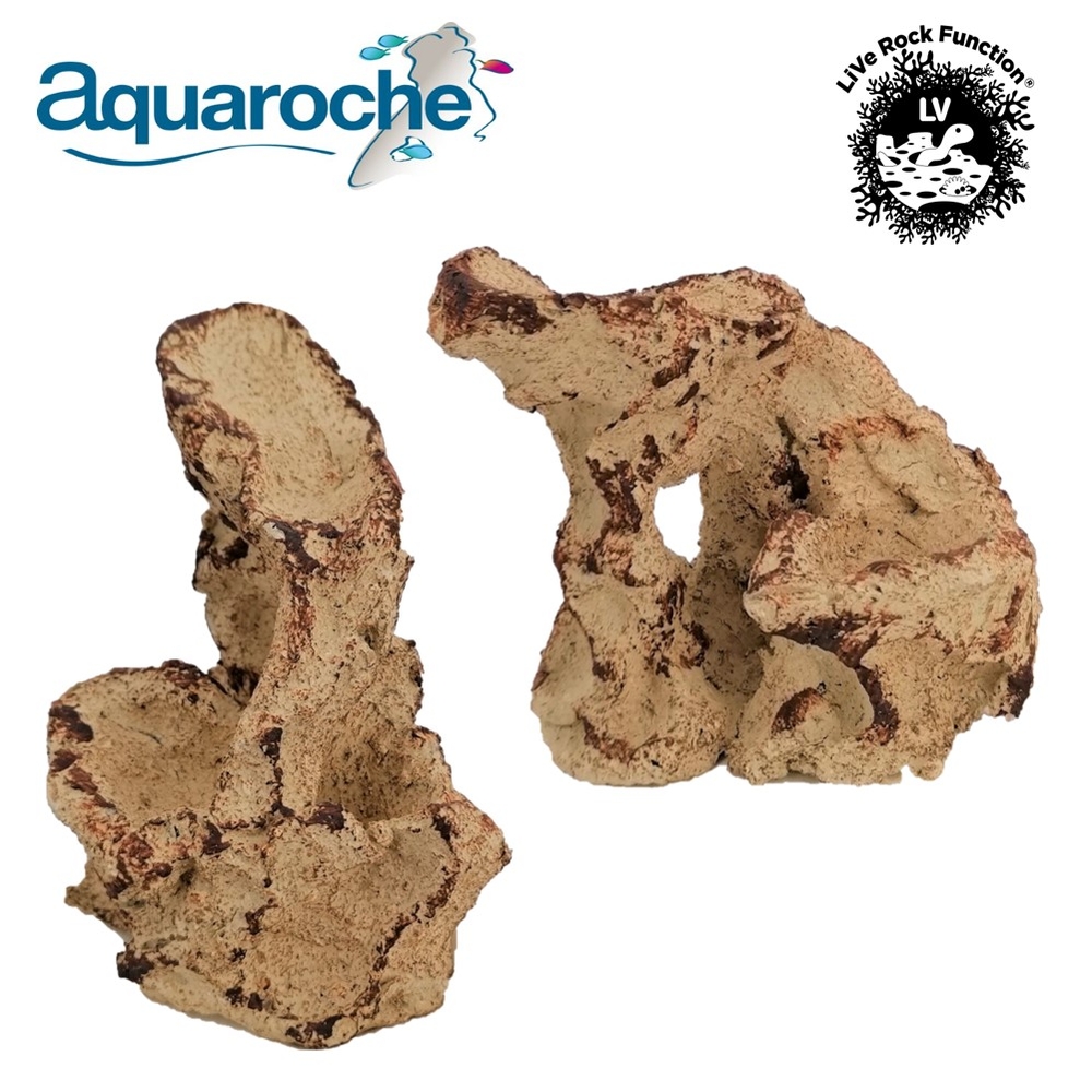 Petite rocheuse pour aquarium